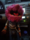 Shawna's Avatar
