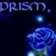 Prism's Avatar