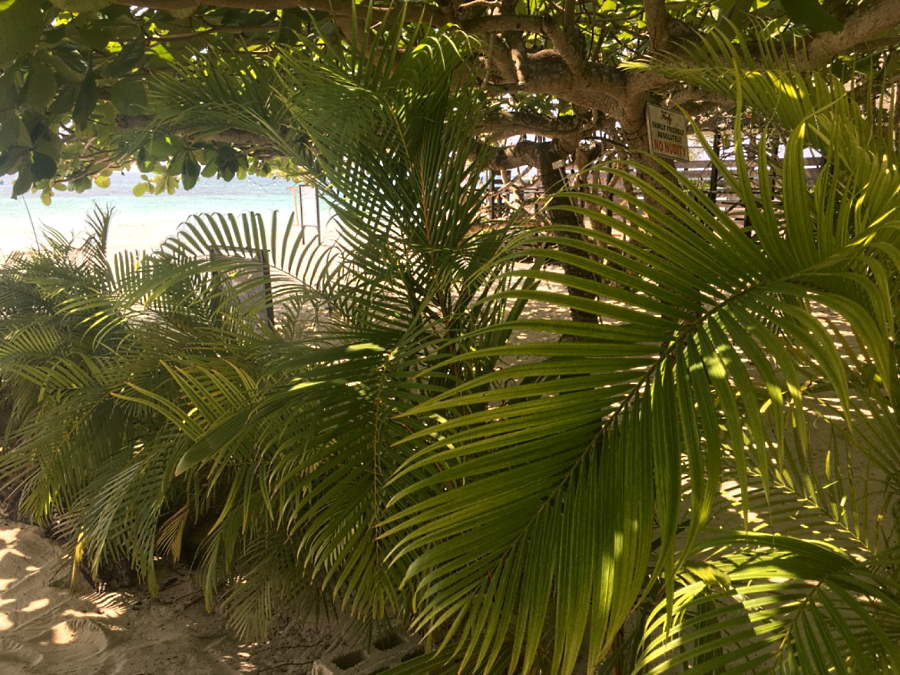 Beach Scenery April 10th, 2020 in Negril Jamaica