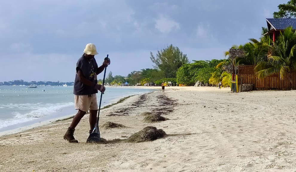Skeleton Crews April 15th, 2020 in Negril Jamaica