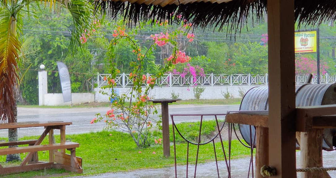 The Greening April 17th, 2020 in Negril Jamaica