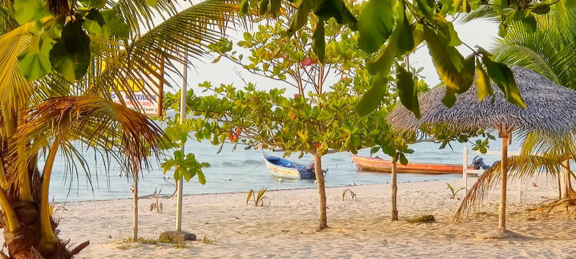 Fleeting March 24th, 2020 in Negril Jamaica