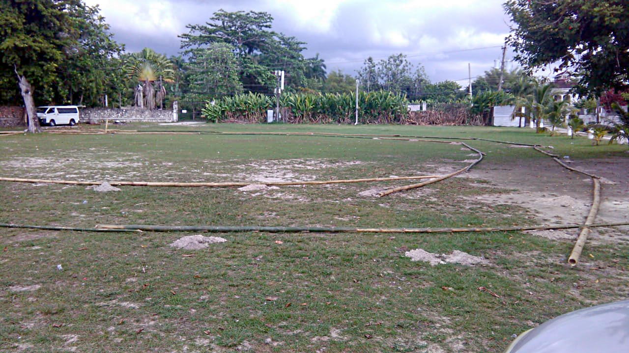 Getting Ready for the Donkey Races February 5th, 2020 in Negril Jamaica