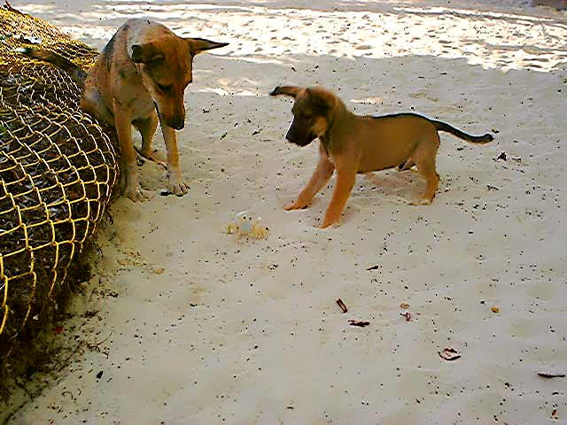 Negril Wonderment February 13th, 2020 in Negril Jamaica