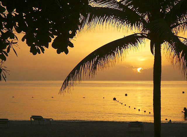 Give Thanks March 13th, 2020 in Negril Jamaica