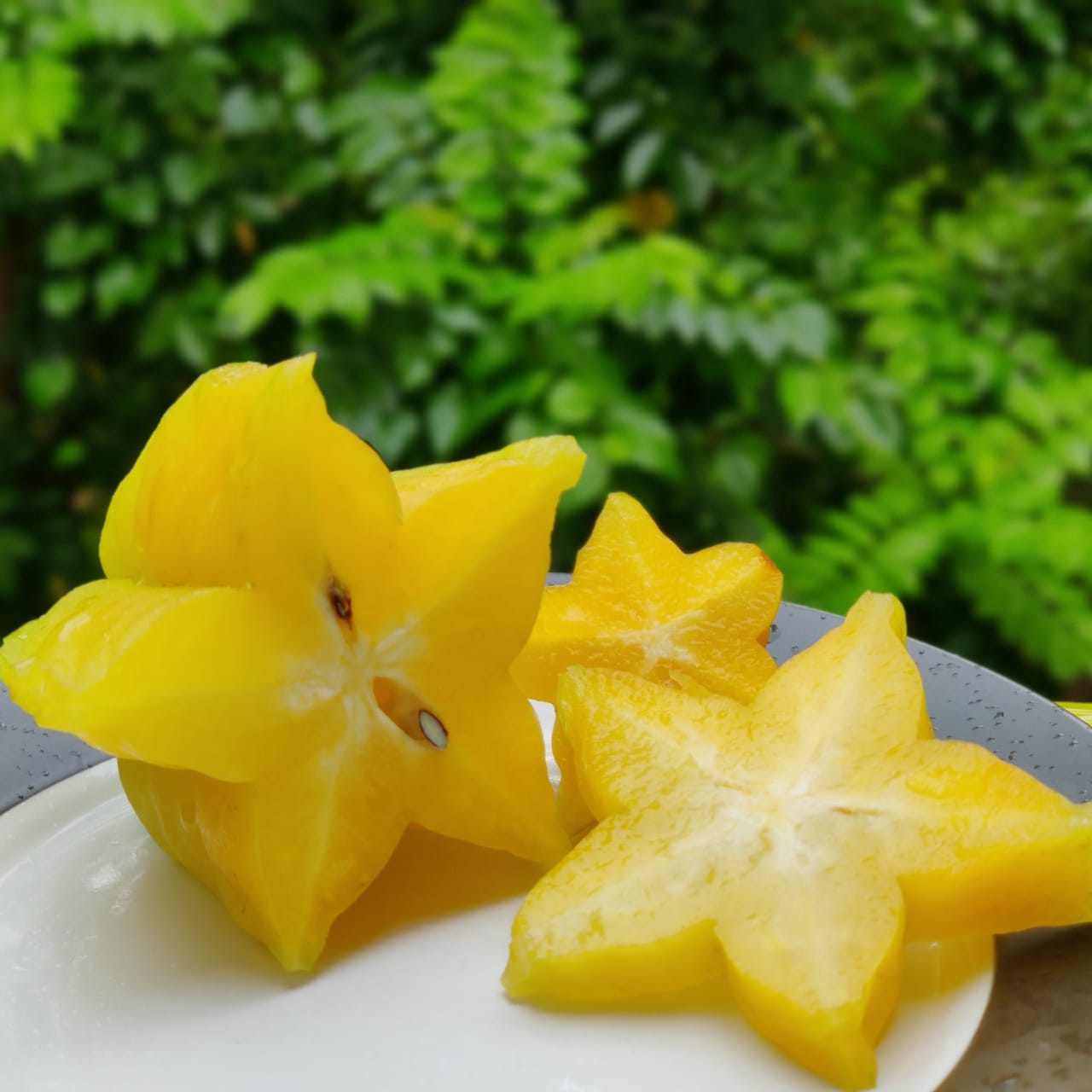 Jamaican Starfruit January 23rd, 2020 in Negril Jamaica