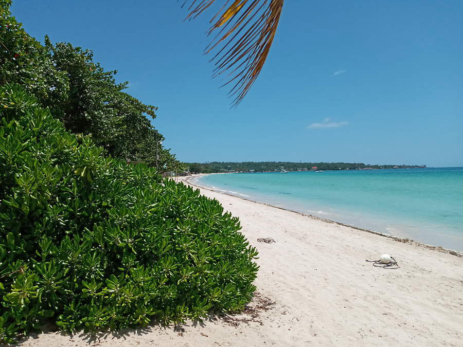 Our Beach July 12th, 2020 in Negril Jamaica