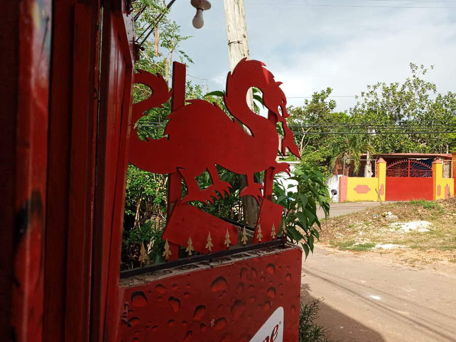 Dragon Dilemma July 18th, 2020 in Negril Jamaica