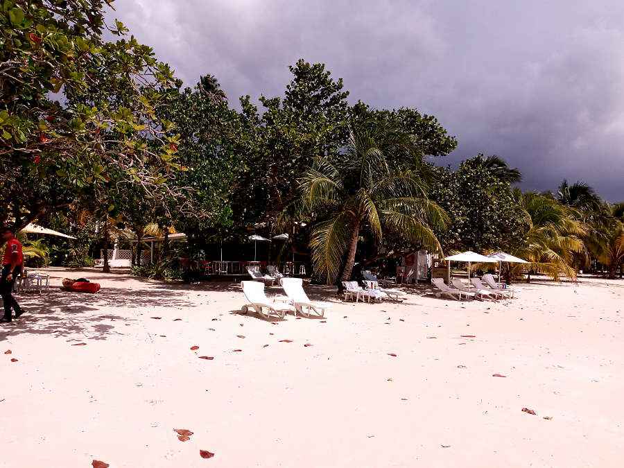 Slow Start August 15th, 2020 in Negril Jamaica