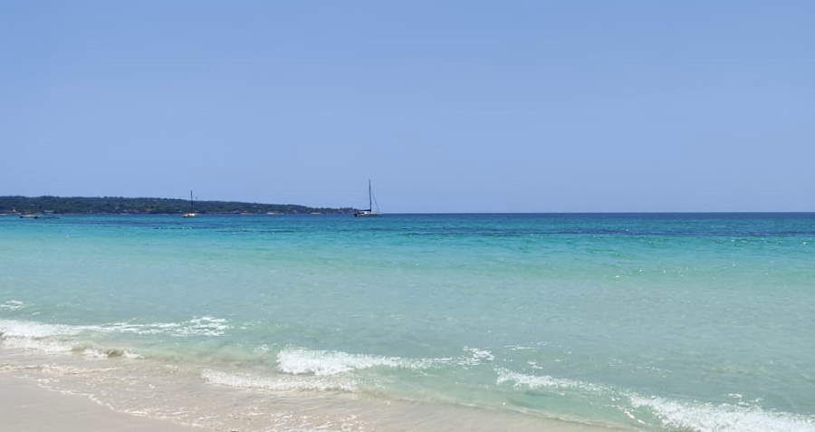 Sea Beauty May 2nd, 2020 in Negril Jamaica
