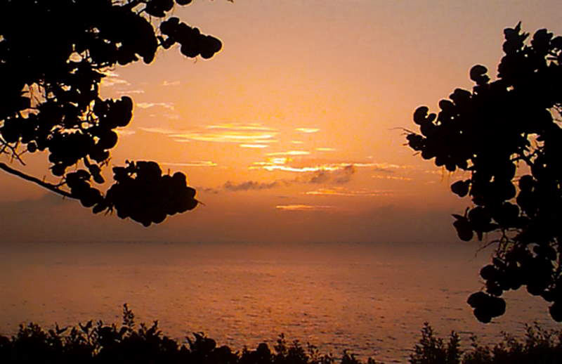 Soulful Sunset May 6th, 2020 in Negril Jamaica