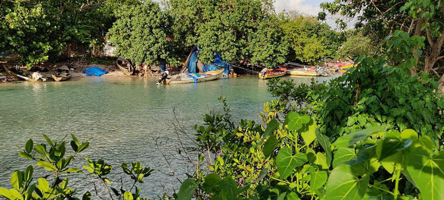 A RiverView May 18th, 2020 in Negril Jamaica