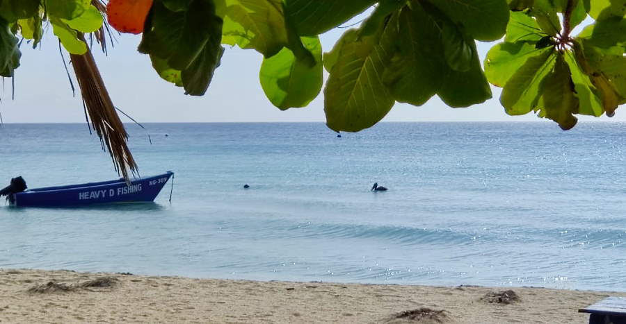 Two Fishing May 30th, 2020 in Negril Jamaica
