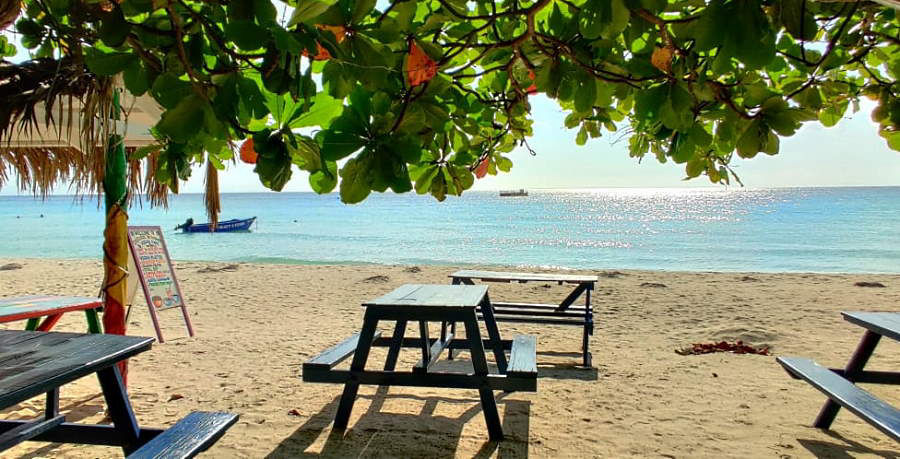Preparing June 3rd, 2020 in Negril Jamaica