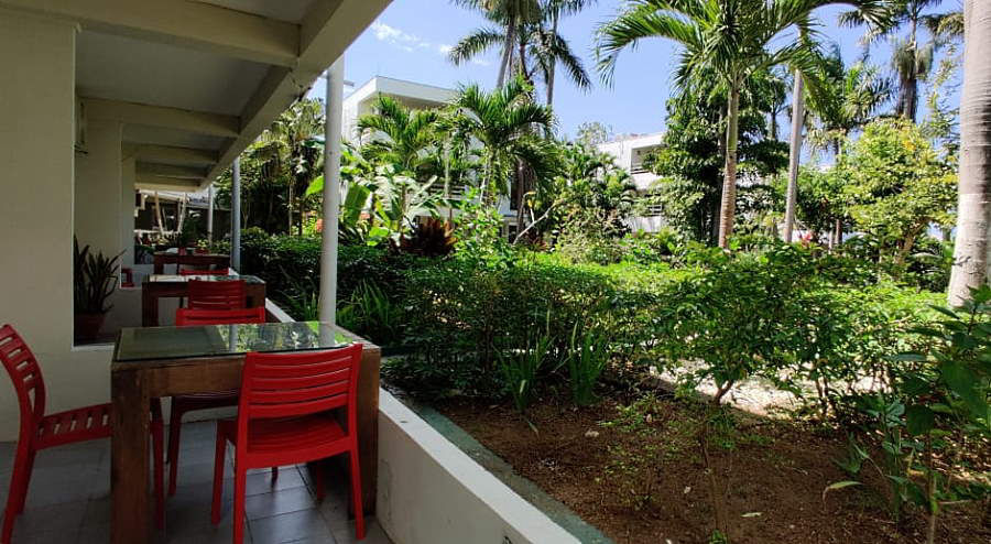 Protocols June 4th, 2020 in Negril Jamaica