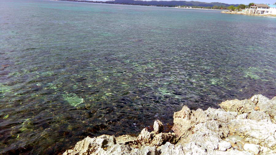 Cliffs Build June 20th, 2020 in Negril Jamaica