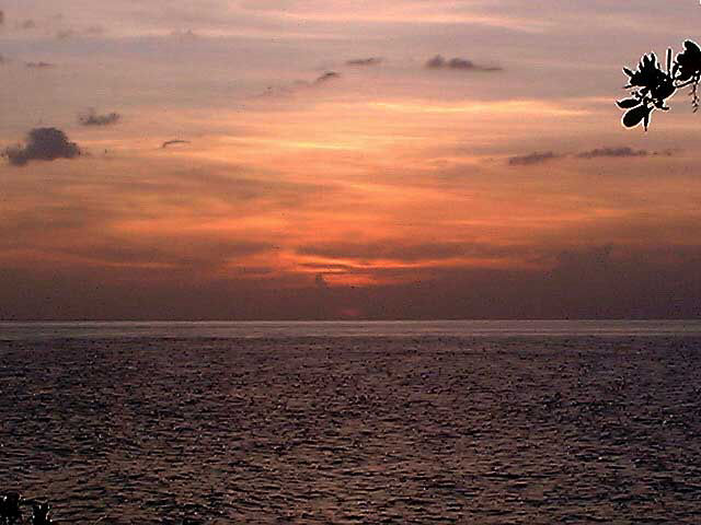 19 Years Ago June 9th, 2020 in Negril Jamaica
