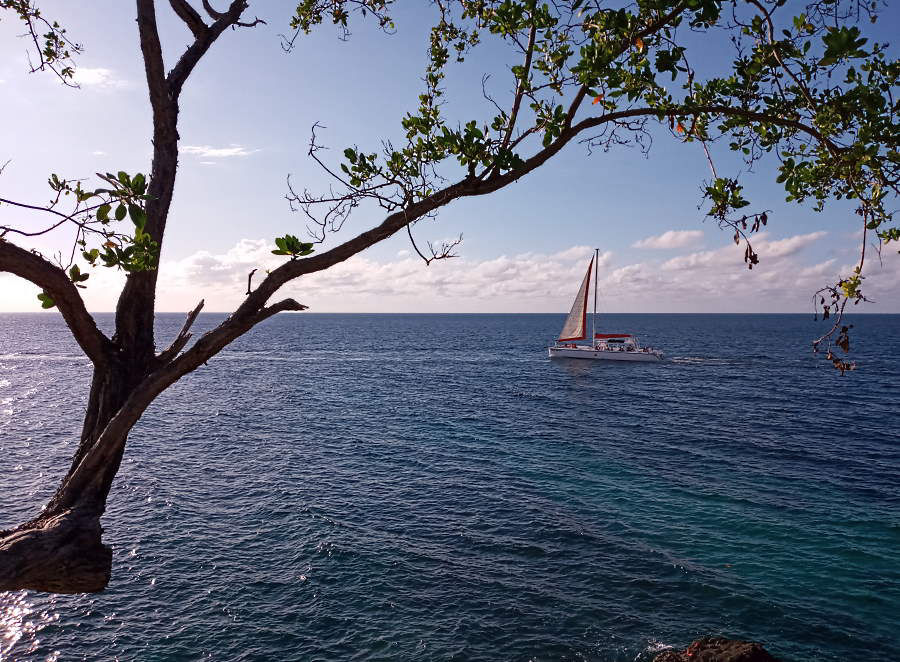 Christmas Eve Cruise December 18th - 24th, 2020 in Negril Jamaica