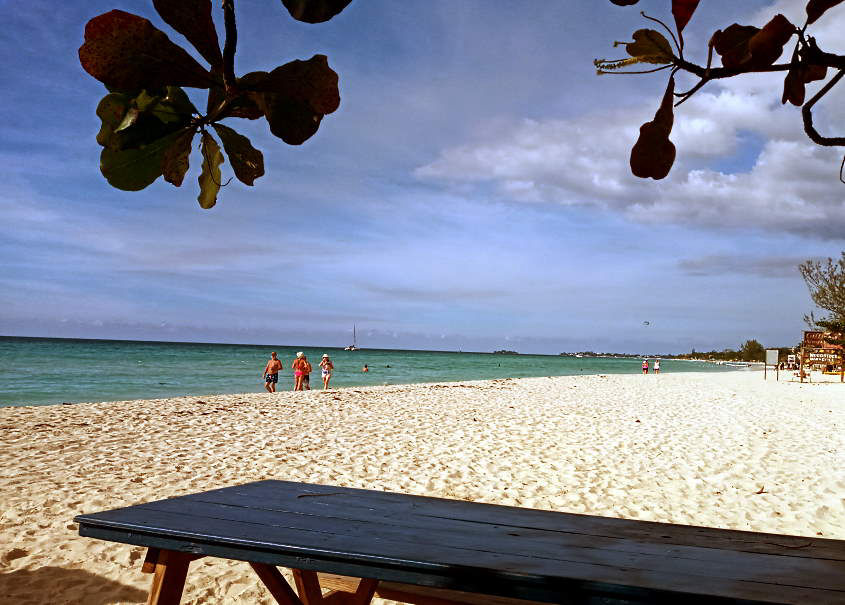 New Norms January 12th - 15th, 2021 in Negril Jamaica