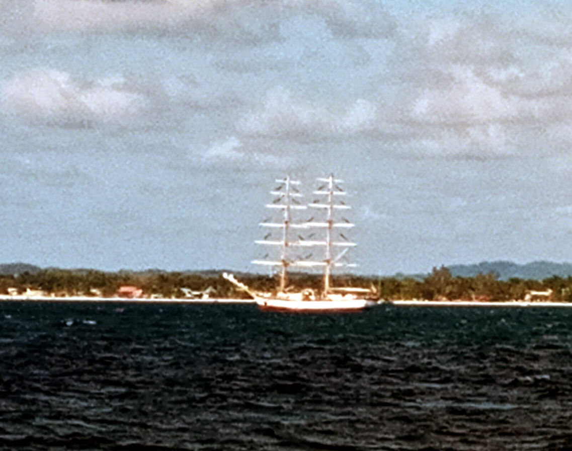 Quite a Sight March 1st - 9th, 2021 in Negril Jamaica