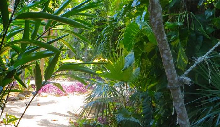 Tingalaya's Retreat in Negril Jamaica