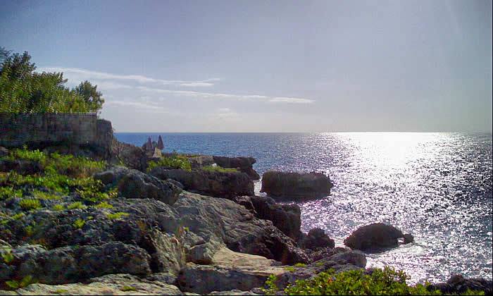 Swordfish on the West End in Negril Jamaica