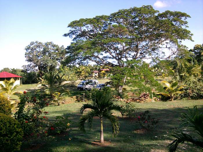 Percy's Retreat in Negril Jamaica