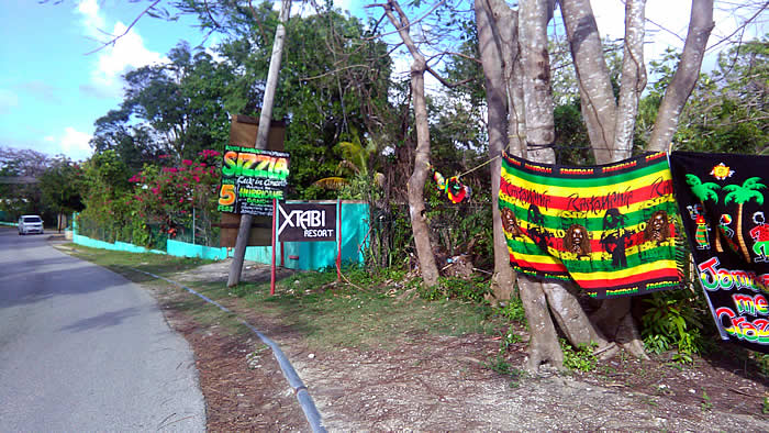 Sights on the Road in Negril Jamaica