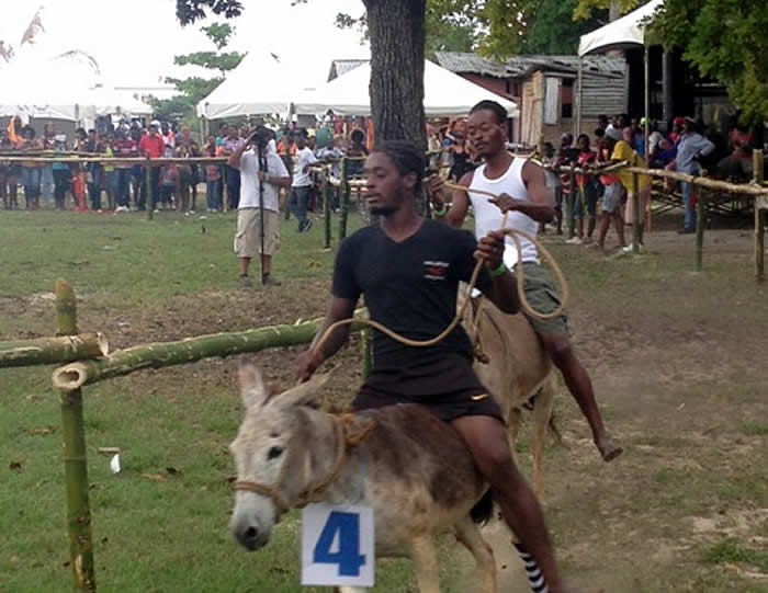 Donkey Races on the Beach in Negril Jamaica
