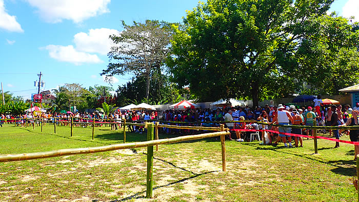 The Crowd was getting started in Negril Jamaica