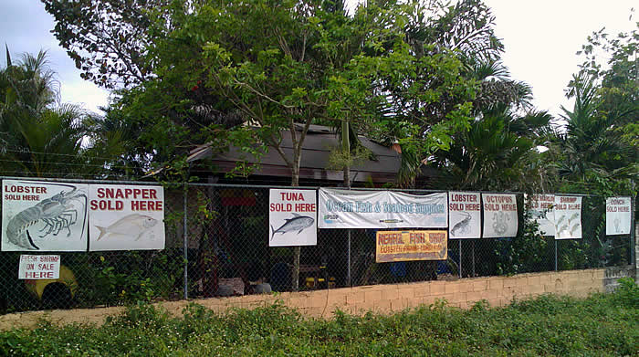Negril Fish Shop in Negril Jamaica