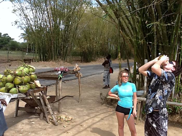 Fresh Coconuts in Negril Jamaica