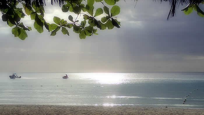 Afternoon in Negril Jamaica