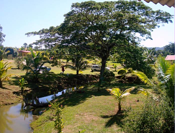 Percy's Riverside Retreat in Negril Jamaica