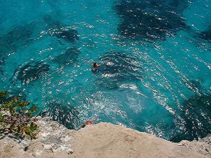 Looking Down in Negril Jamaica