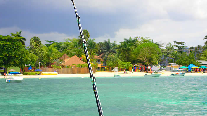 Deep Sea Fishing in Negril Jamaica