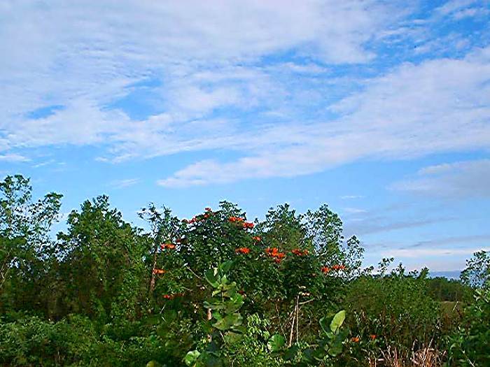 Clouds over The Countryside in Negril Jamaica