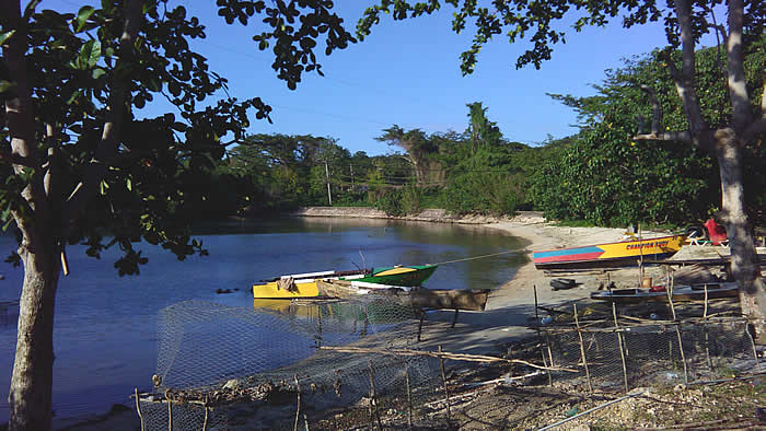 Cousin's Cove Old Road in Negril Jamaica