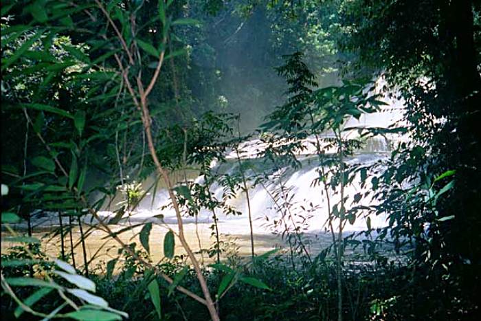 Mist Over YS Falls in Negril Jamaica