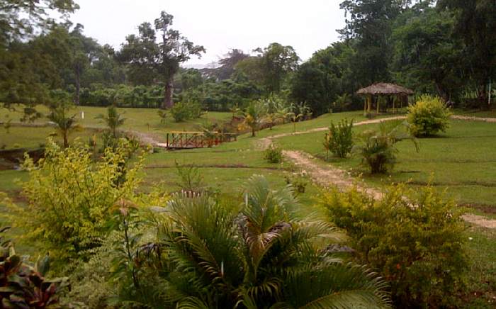 Percy's Retreat in Negril Jamaica