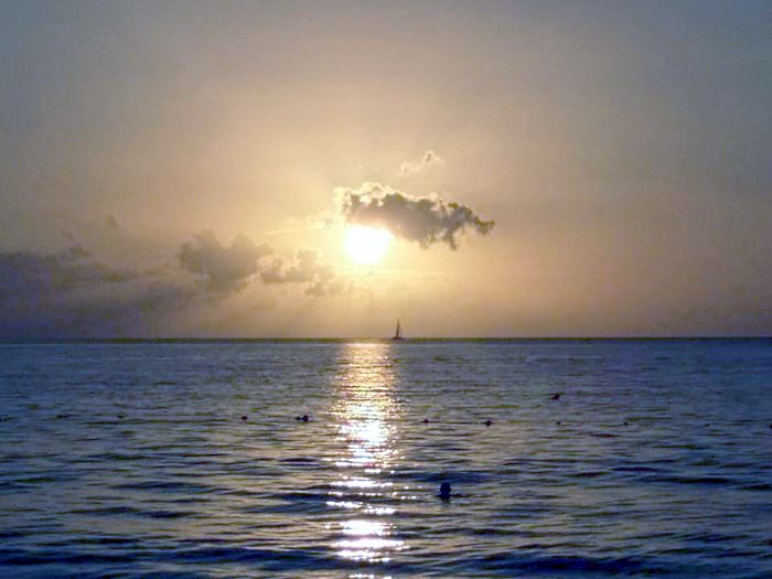 A Family Run Sunset in Negril Jamaica