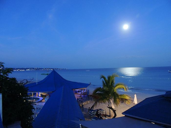 Negril  Treehouse Restaurant in Negril Jamaica