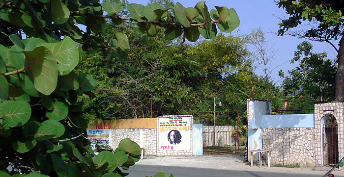 Kubba's MXIII in Negril Jamaica