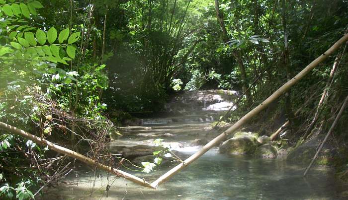 Mayfield Falls in Negril Jamaica