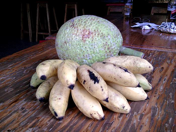 Honey Bananas and Breadfruit  in Negril Jamaica