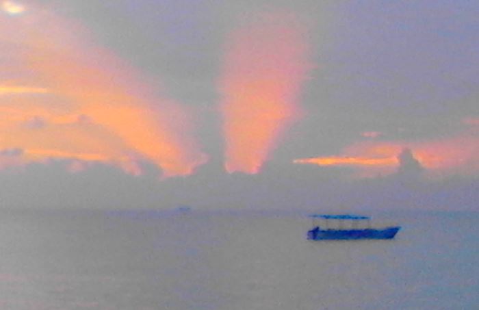Afterset Rays in Negril Jamaica