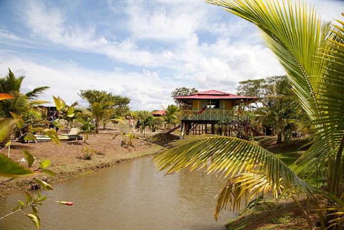 Percy's Retreat in Negril Jamaica