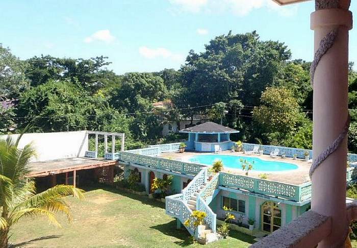 Cotton Tree in Negril Jamaica
