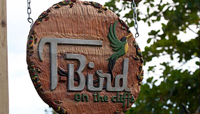 T-Bird on the Cliffs in Negril Jamaica