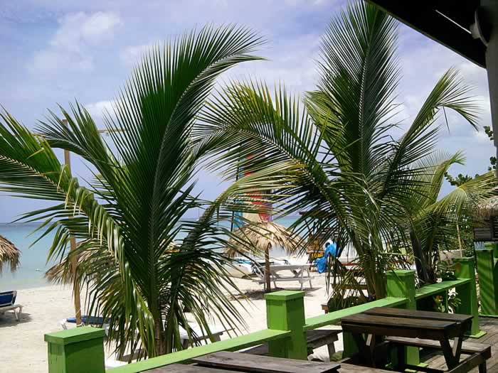 Beach Scene in Negril Jamaica